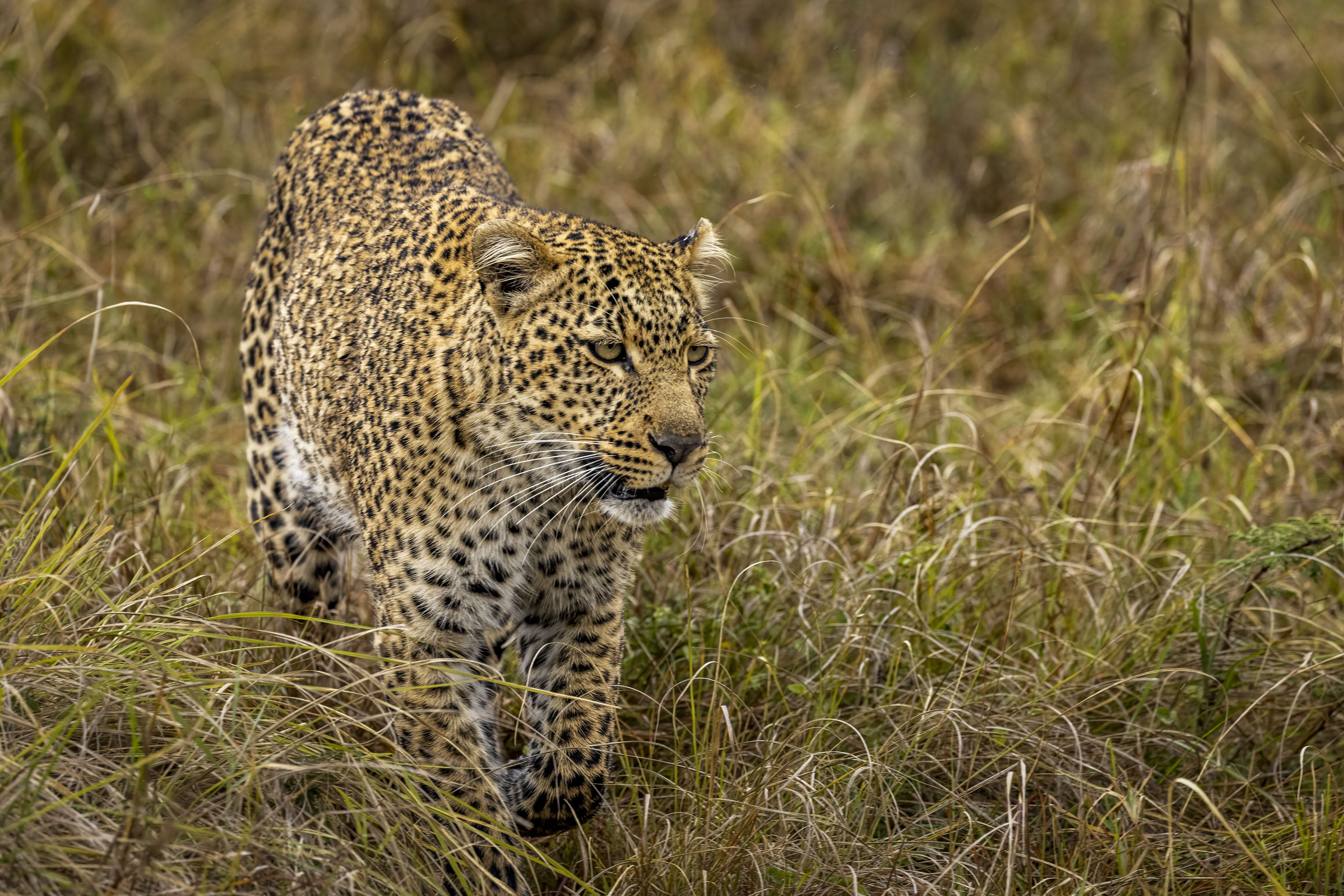 November 10, 2022-135852-3-Edit.jpg